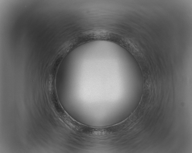 X0000082160744200702092217