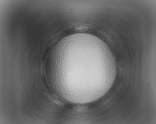 X0000082160745200702092217