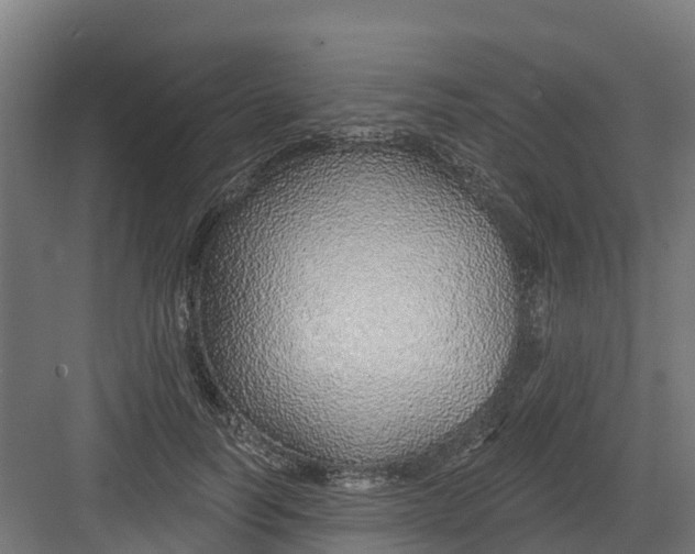 X0000082160746200702092217