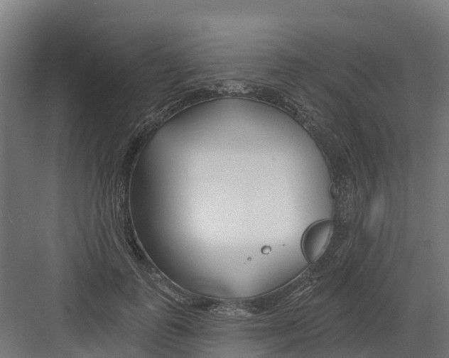 X0000082160747200702092217