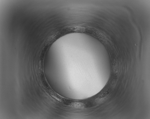 X0000082160748200702092217