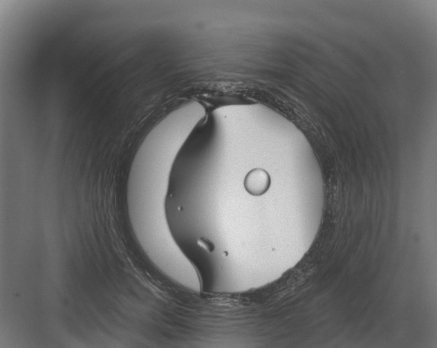 X0000082160750200702092217