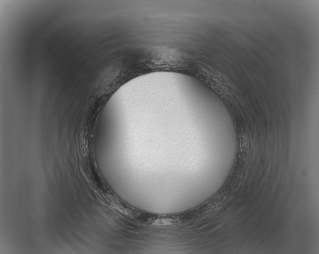 X0000082160751200702092217