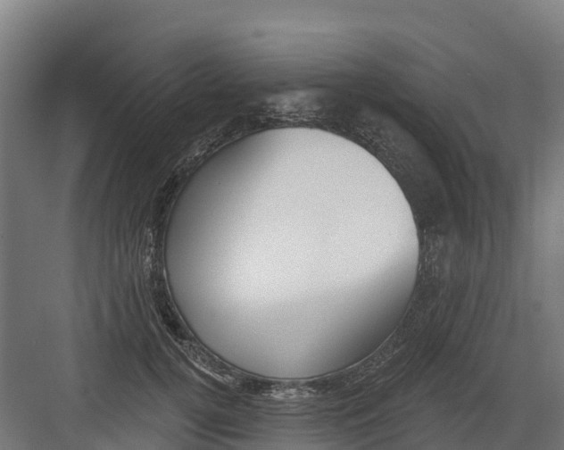 X0000082160752200702092217