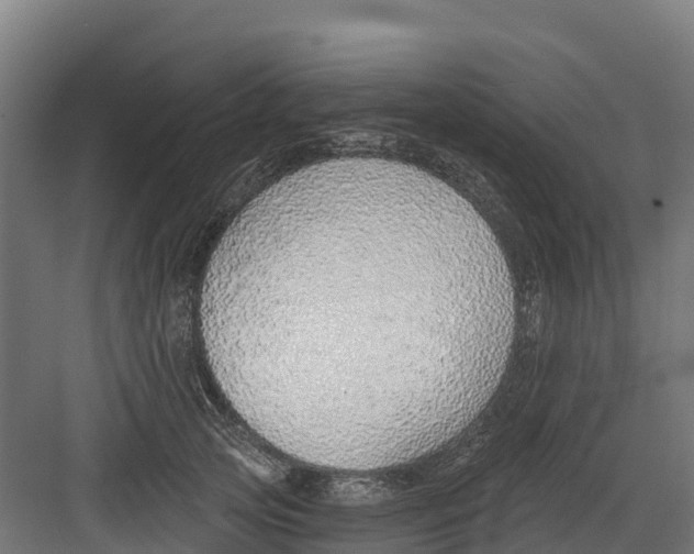 X0000082160753200702092217