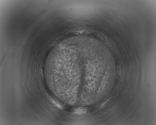 X0000082160754200702092217