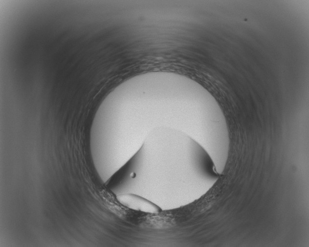 X0000082160756200702092217