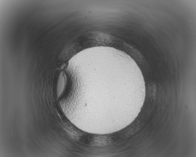 X0000082160757200702092217