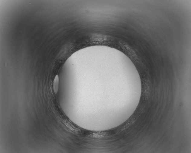 X0000082160758200702092217