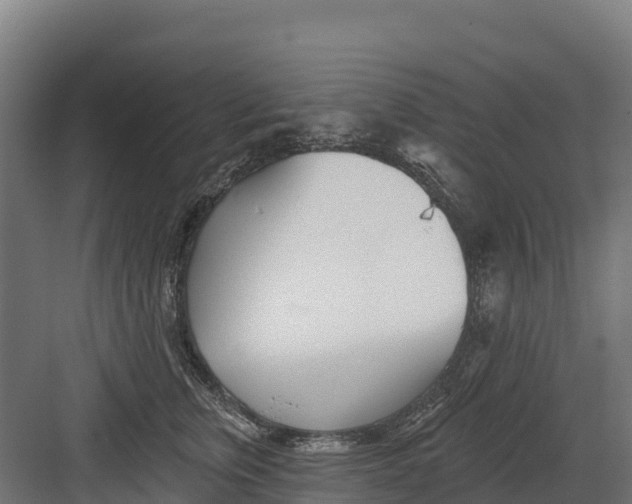 X0000082160759200702092217