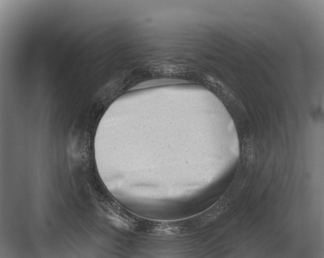 X0000082160760200702092217