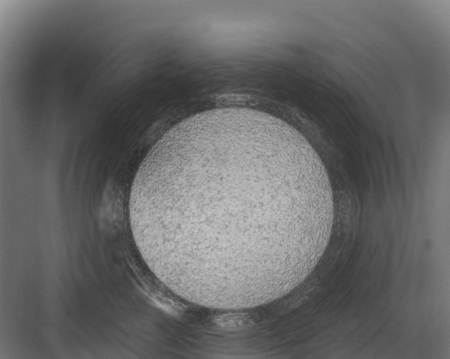 X0000082160761200702092217