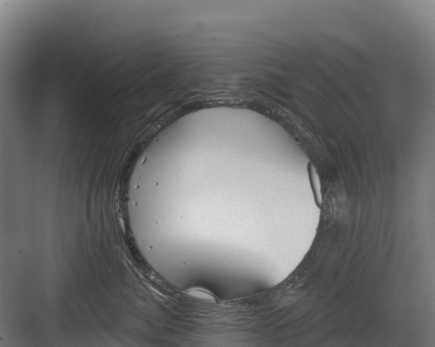 X0000082160764200702092217