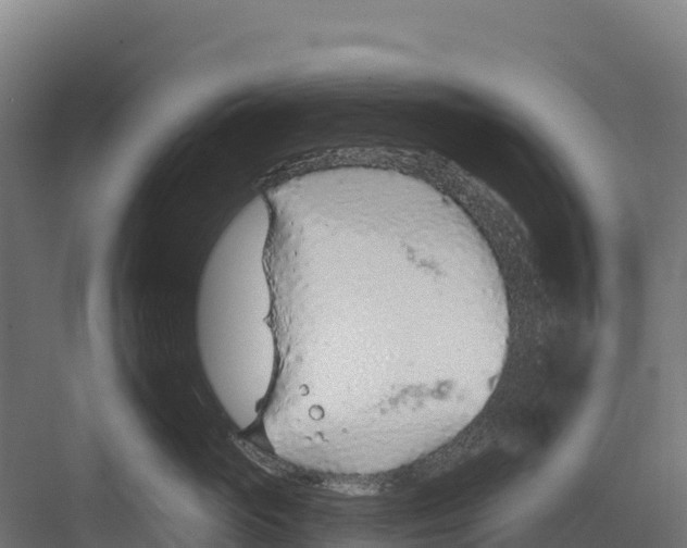 X0000082160765200702092217