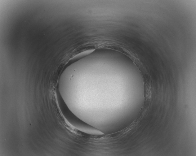 X0000082160766200702092217