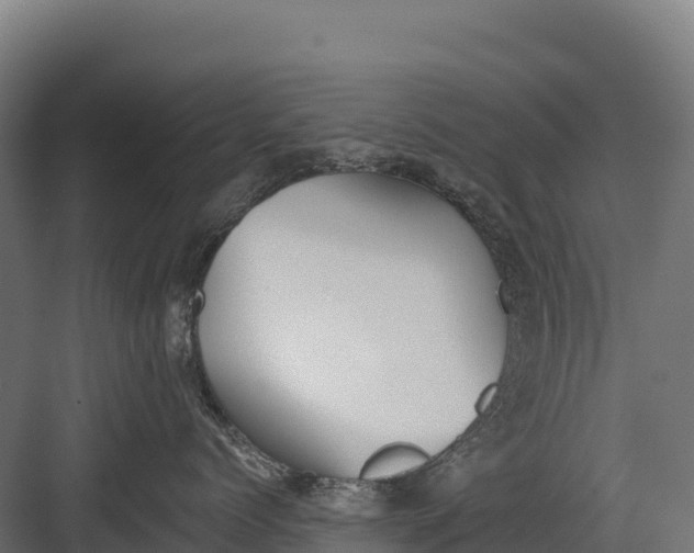 X0000082160768200702092217