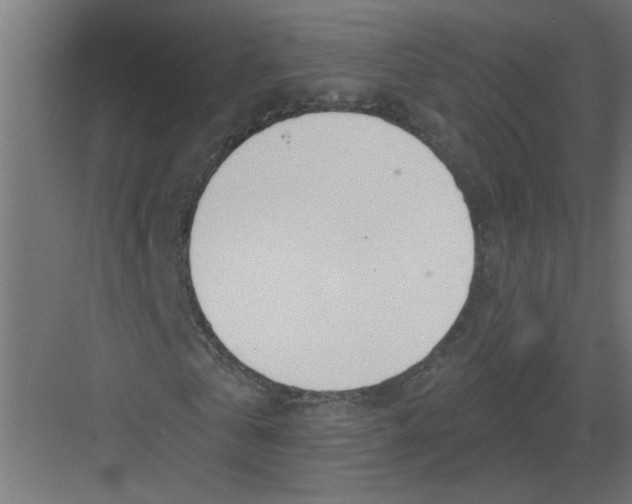 X0000082160769200702092217