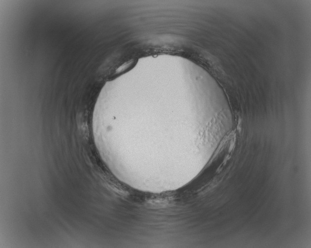 X0000082160771200702092217