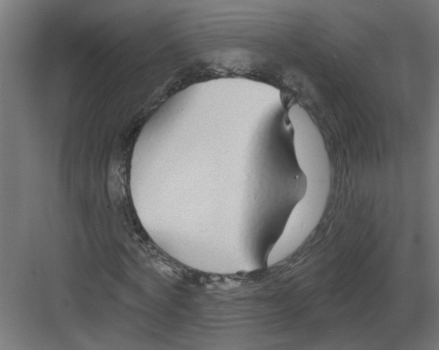 X0000082160772200702092217