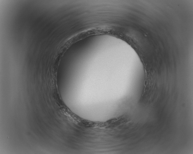 X0000082160773200702092217