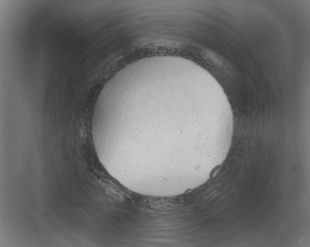 X0000082160774200702092217