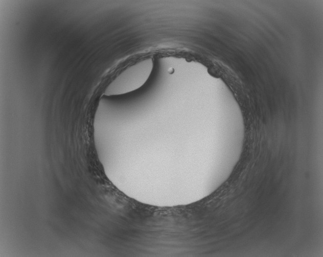 X0000082160776200702092217