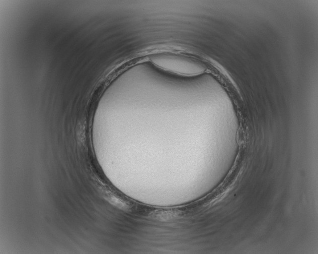 X0000082160778200702092216