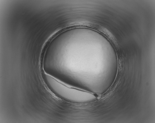 X0000082160780200702092216