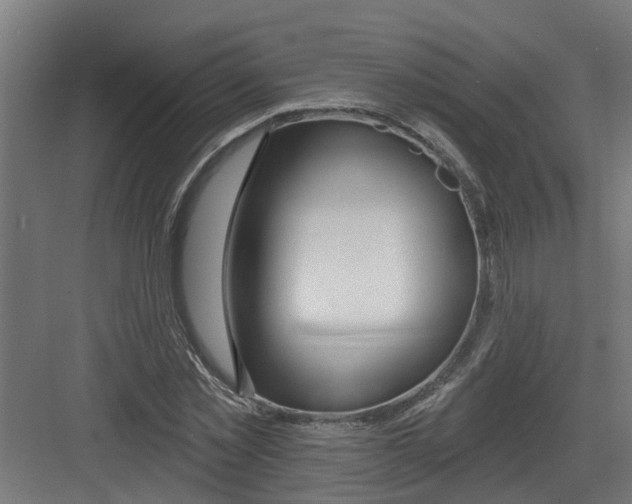 X0000082160781200702092216