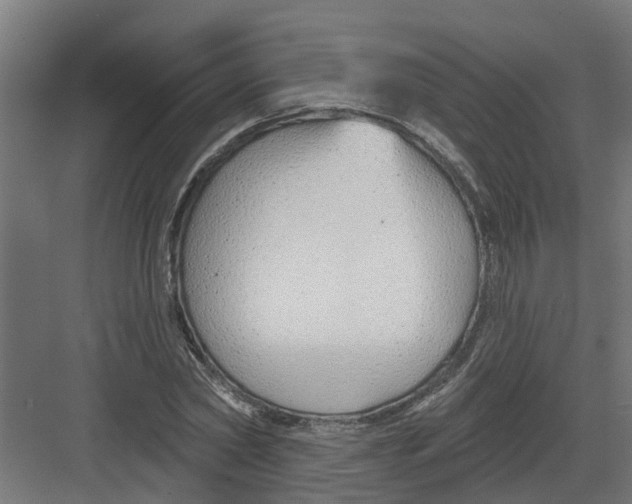 X0000082160782200702092216