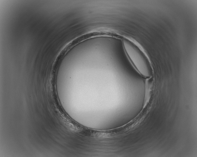 X0000082160783200702092216