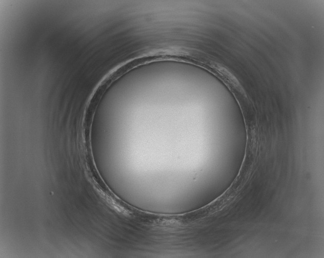 X0000082160784200702092216