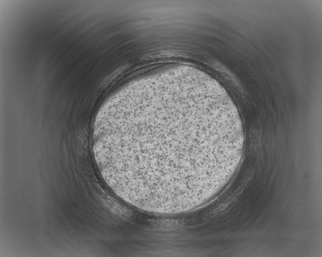 X0000082160785200702092216