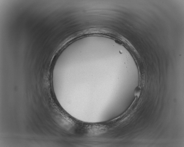 X0000082160786200702092216