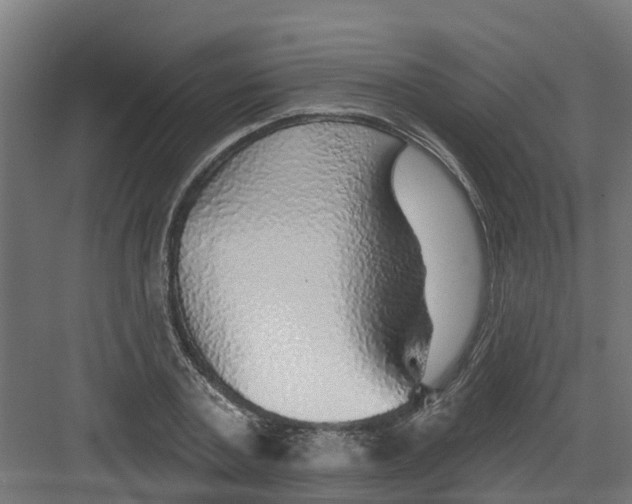 X0000082160787200702092216