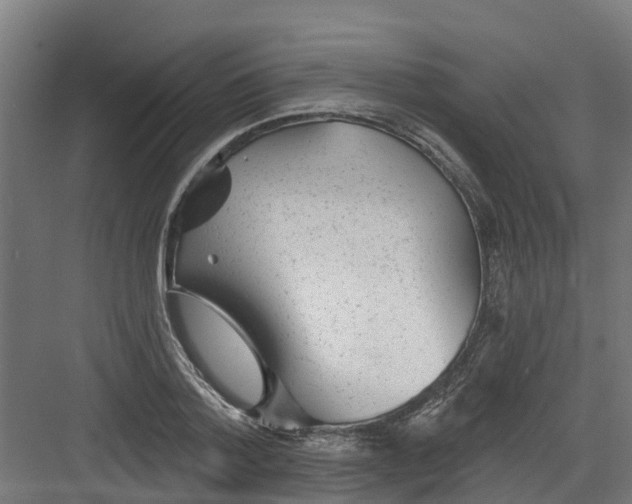 X0000082160788200702092216