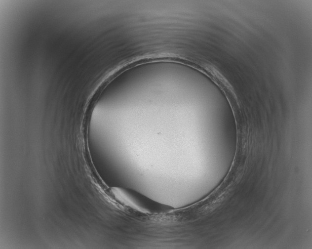 X0000082160789200702092216