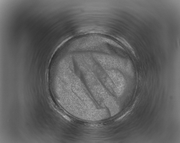 X0000082160790200702092216