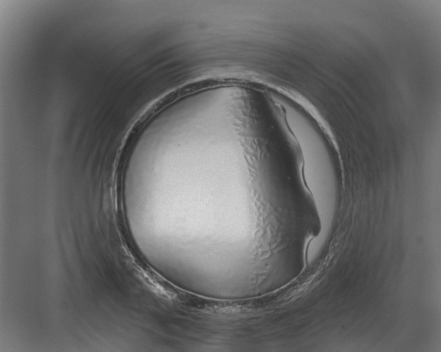 X0000082160791200702092216