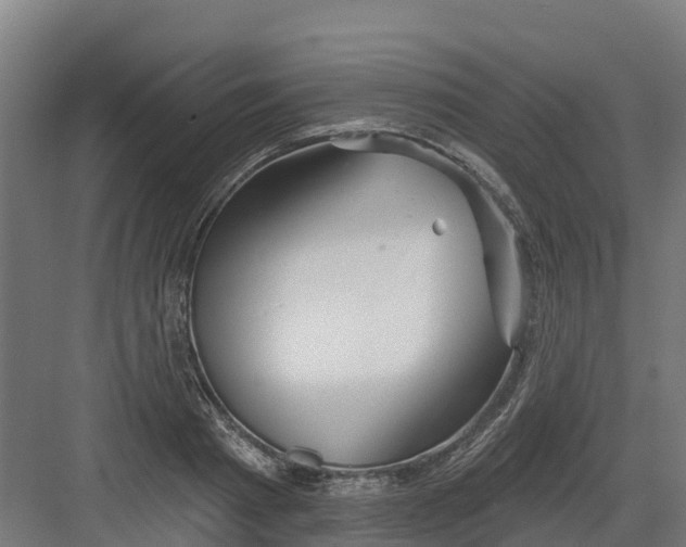 X0000082160793200702092216