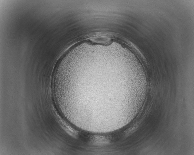 X0000082160794200702092216