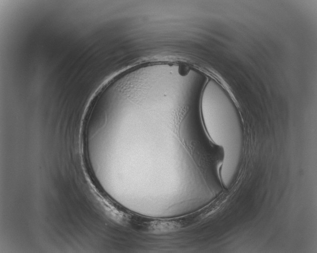 X0000082160795200702092216