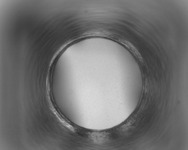 X0000082160796200702092216