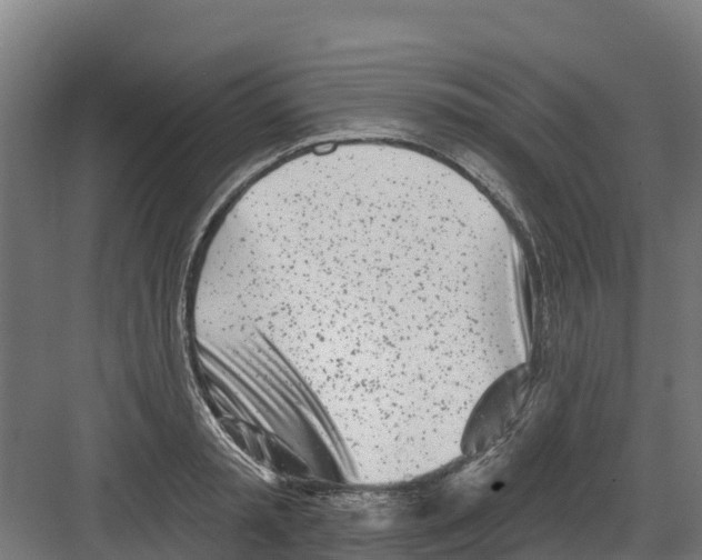 X0000082160797200702092216