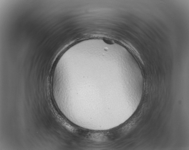 X0000082160798200702092216