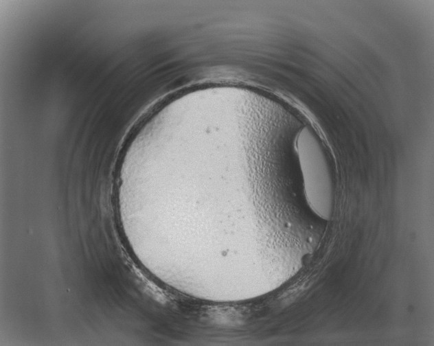 X0000082160799200702092216