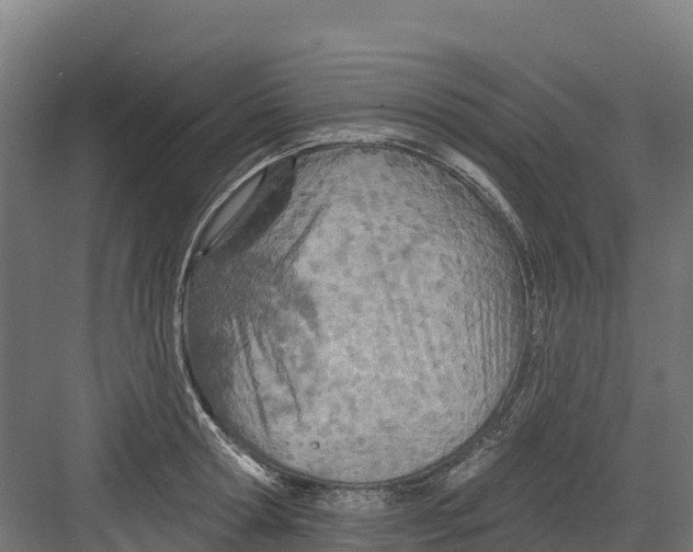 X0000082160802200702092216