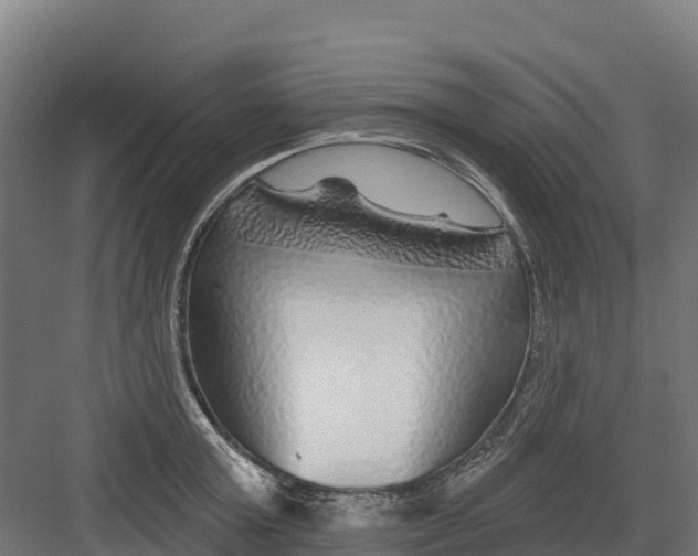 X0000082160803200702092216