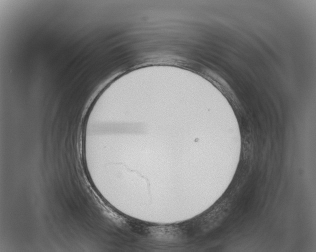 X0000082160804200702092216