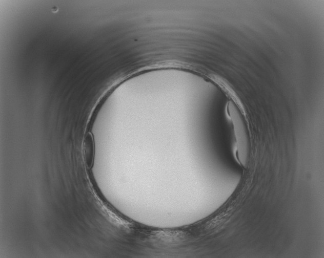 X0000082160805200702092216